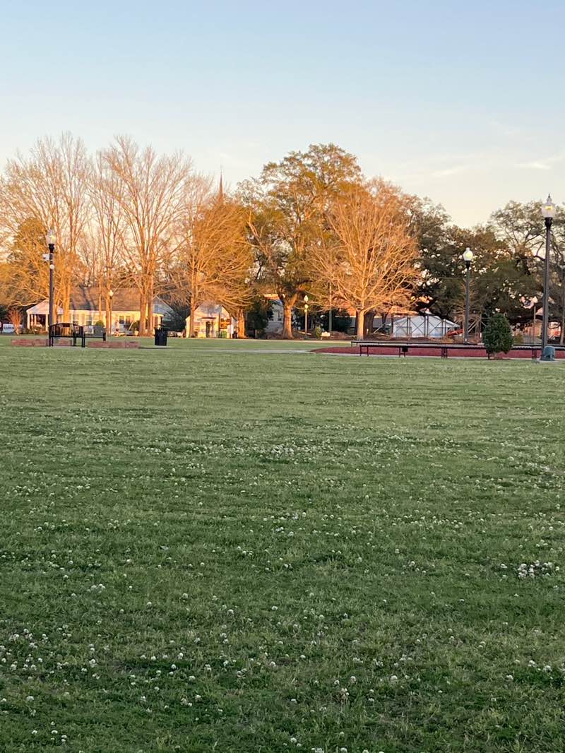 walking near me in Crosby Commons in spring