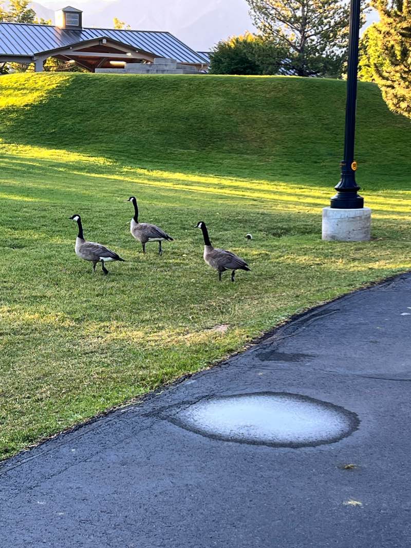 walking near me in Murray Park in winter