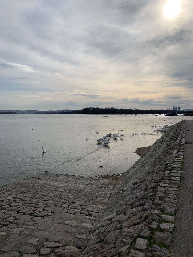 walking near me in Блок 11 in winter