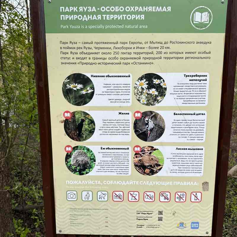 Павел post 2