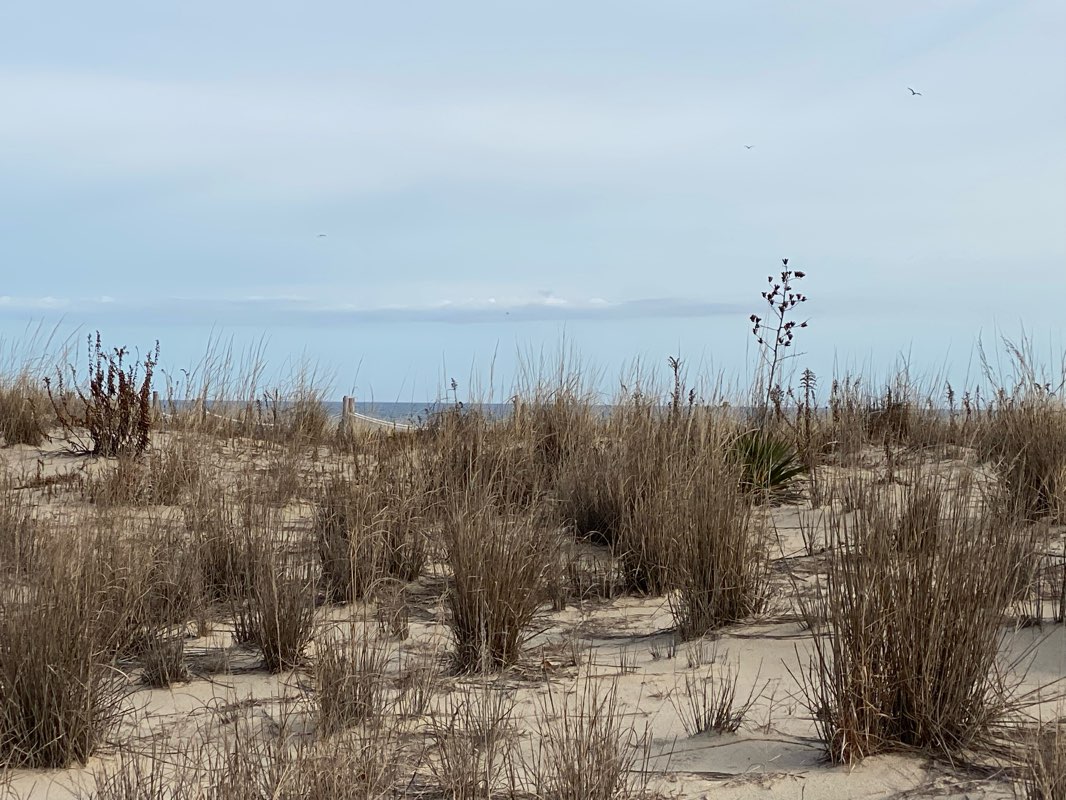 walking near me in Stockley Street Park in winter