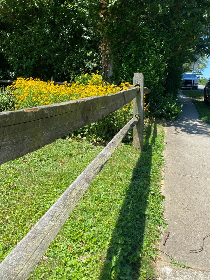 walking near me in Munson Hill Park in winter