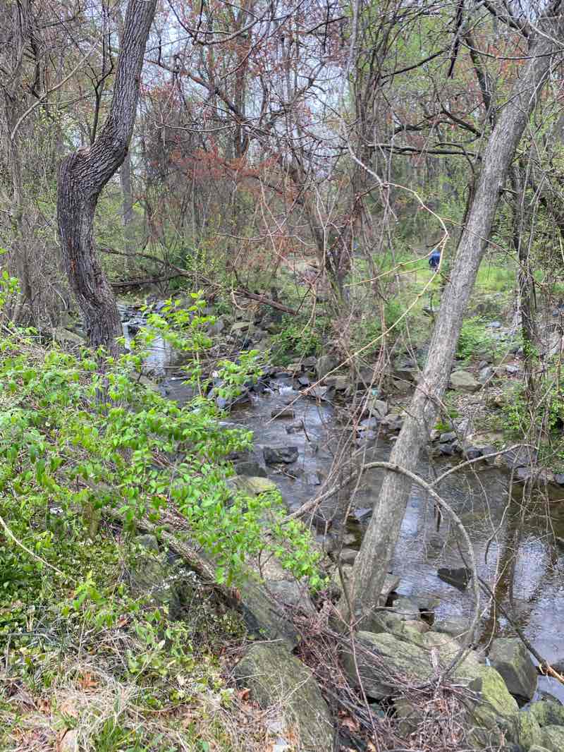 walking near me in Upton Hill Regional Park in winter