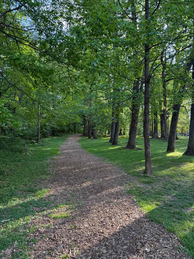 walking near me in Cherry Hill Park in spring