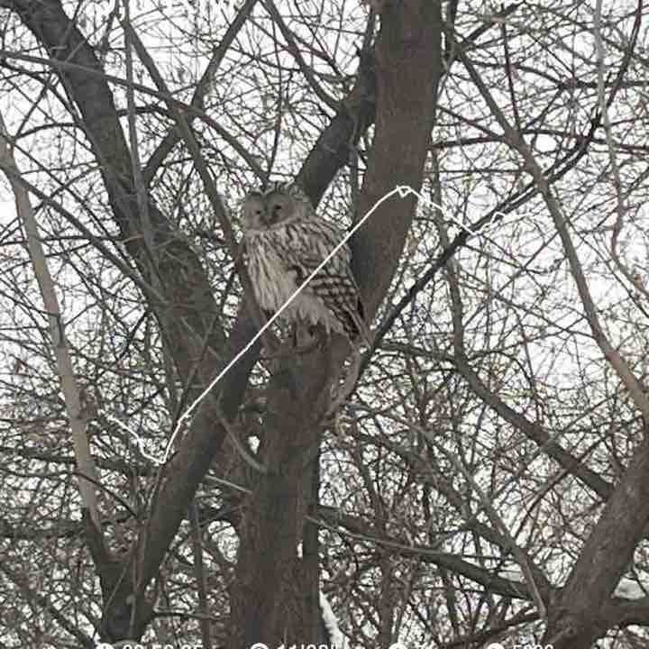 Виталий post 1