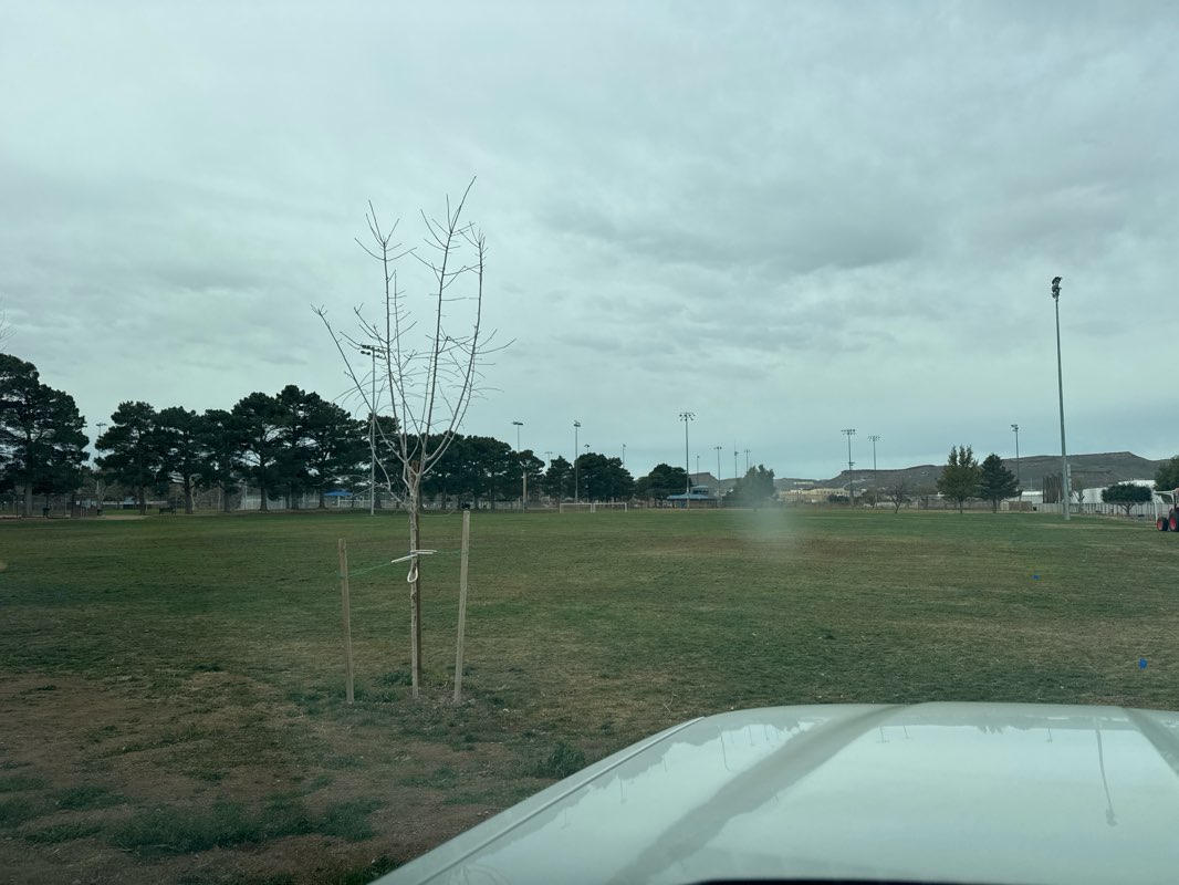 walking near me in Centennial Park in winter