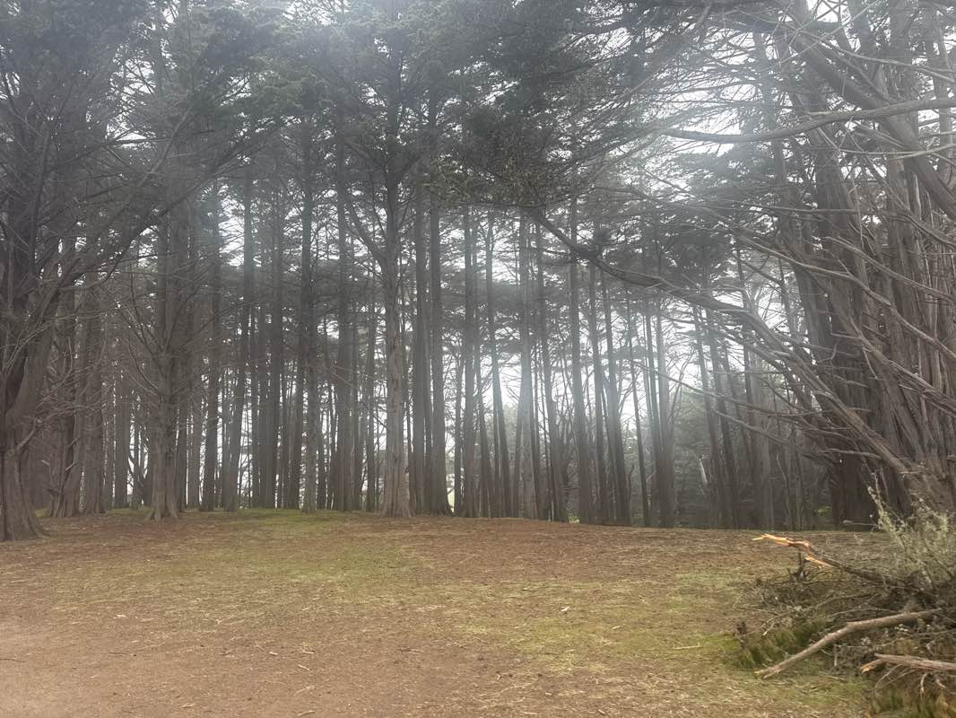 walking near me in Montara State Marine Reserve in spring