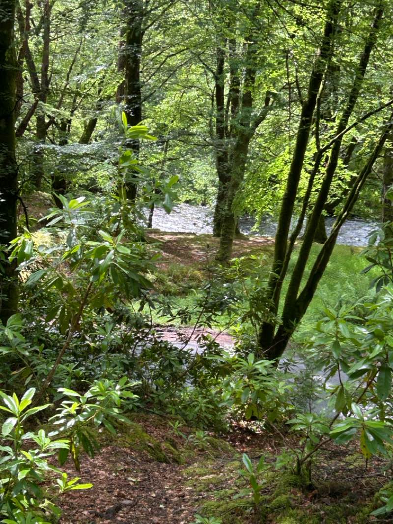 walking near me in Glencoe National Nature Reserve in summer