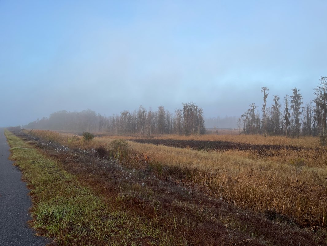 walking near me in Ballantrae Park in winter