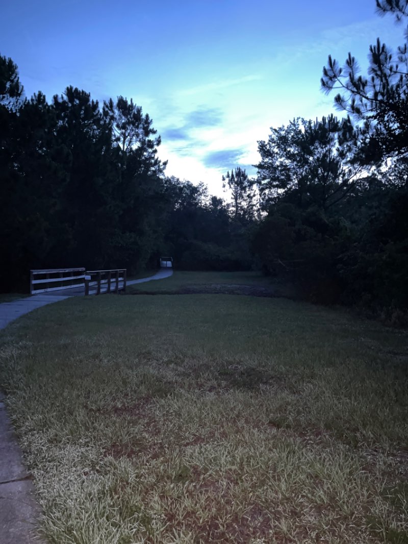 walking near me in Ballantrae Park in winter