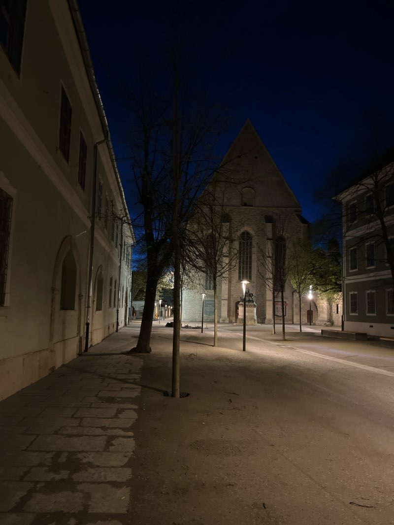 walking near me in Grădina Mikó in winter