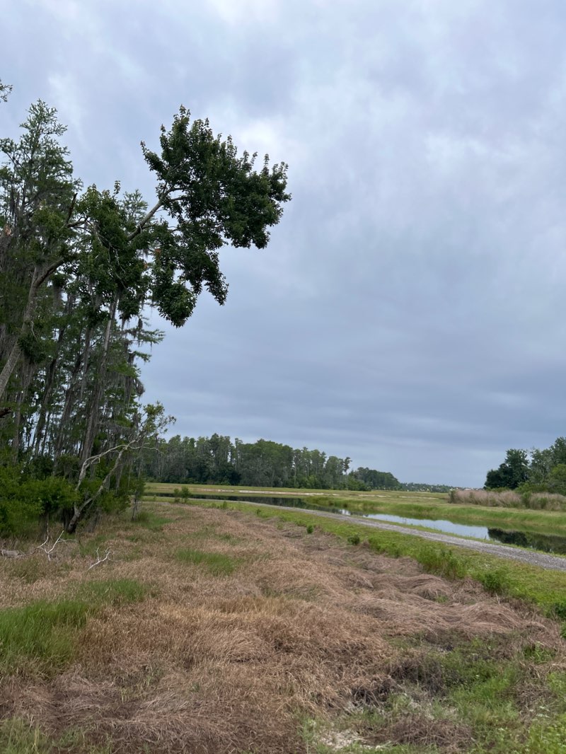 walking near me in Ballantrae Park in winter