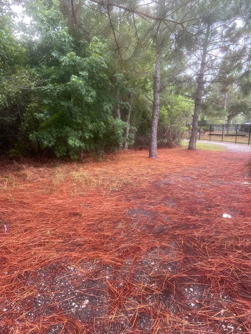 walking near me in Ballantrae Park in winter