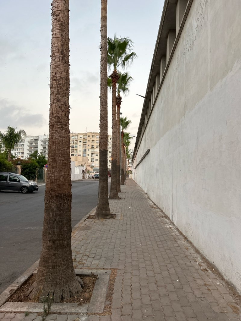 walking near me in Jardin Casa-Voyageurs in winter