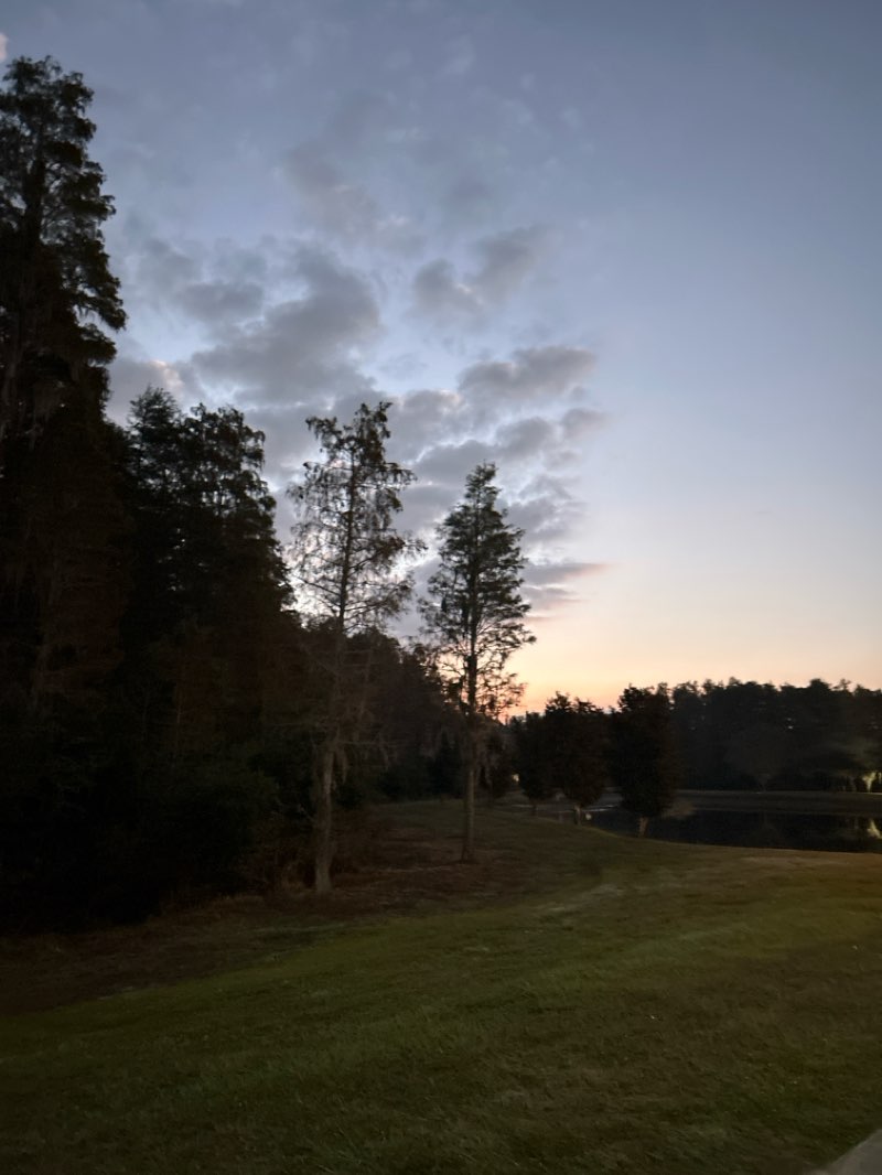 walking near me in Gimme 10 Park in autumn