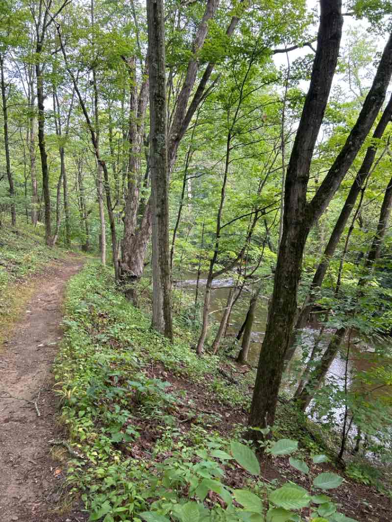 walking near me in Parkside Place Park in autumn