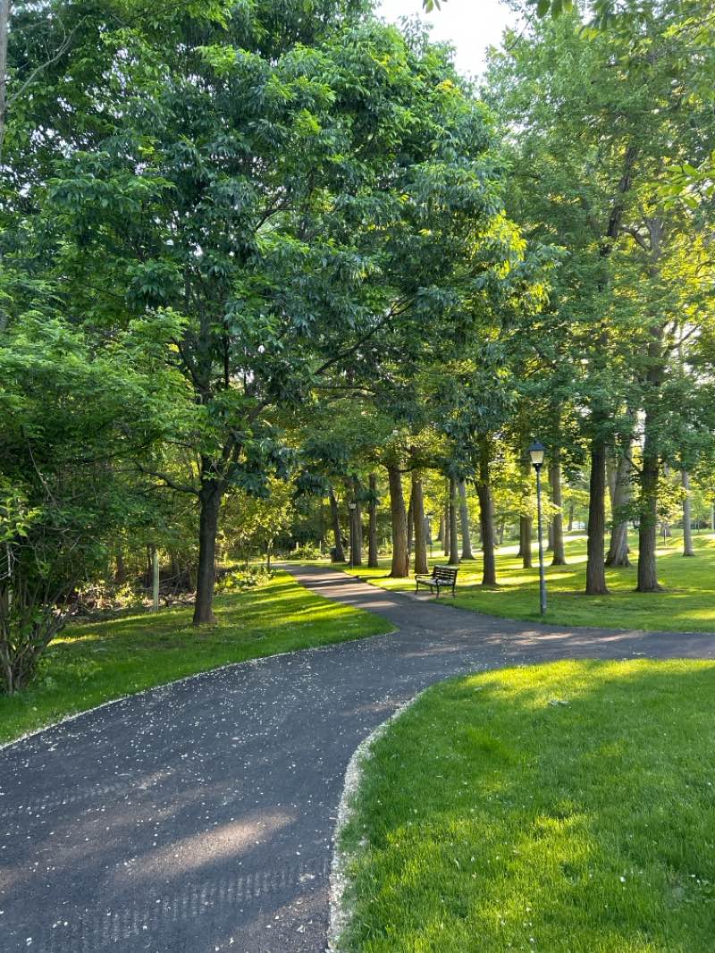 walking near me in Fourth Street Park and Pool in summer