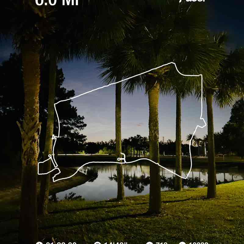 Ankara Robert M. post image