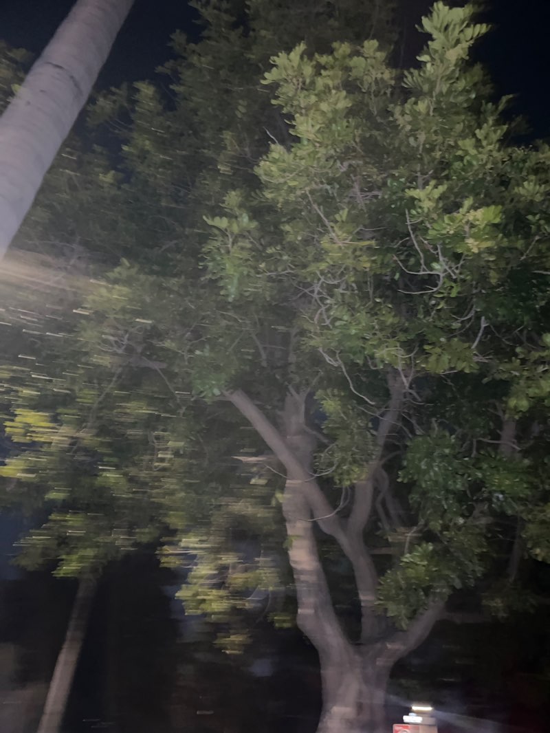 walking near me in Spreckels Park in winter