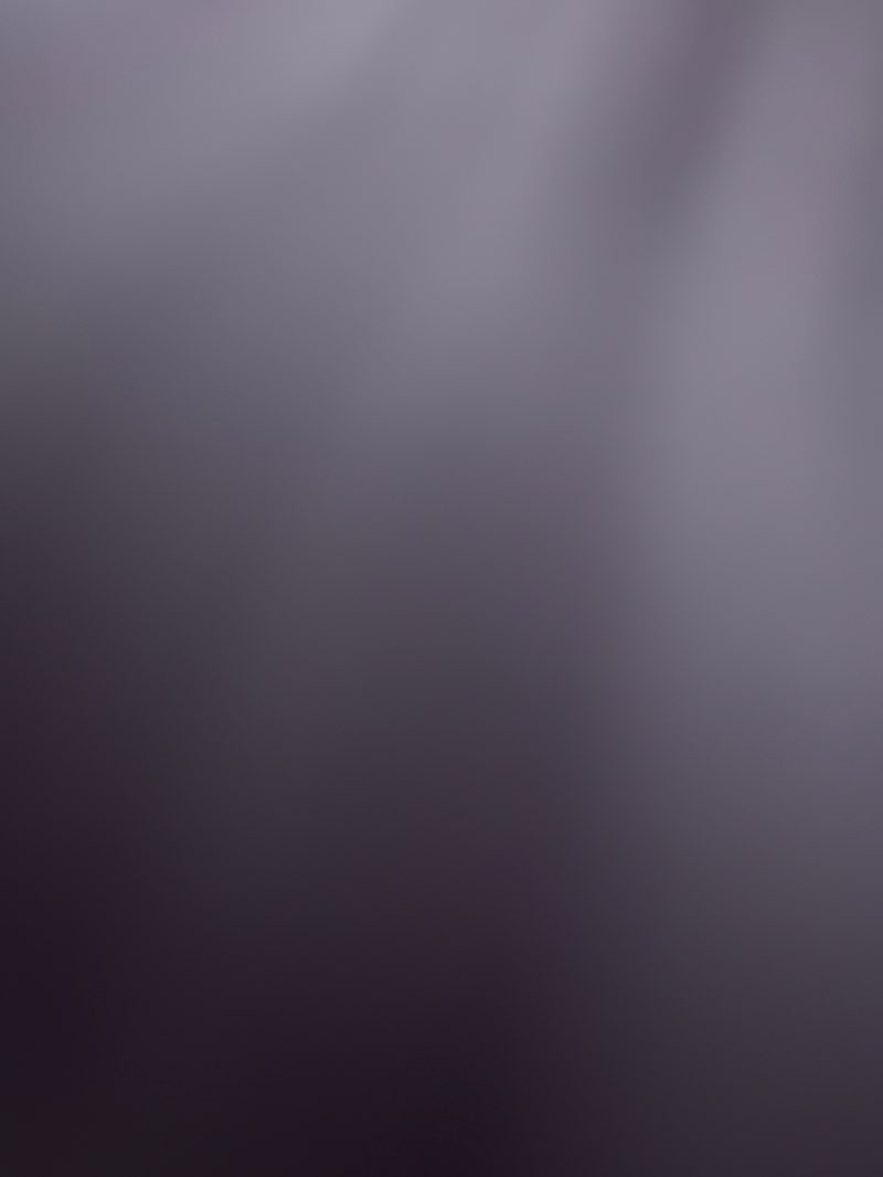 walking near me in Sylvan Ave Park in winter