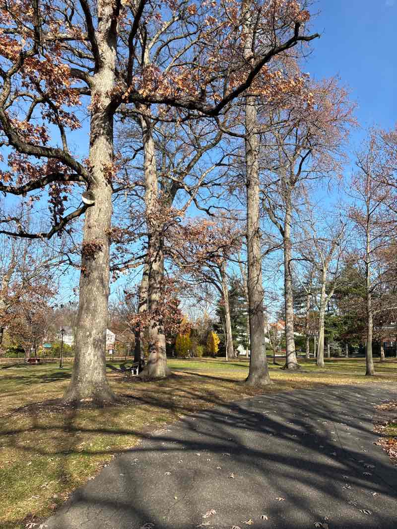 walking near me in Allenwood Park in autumn