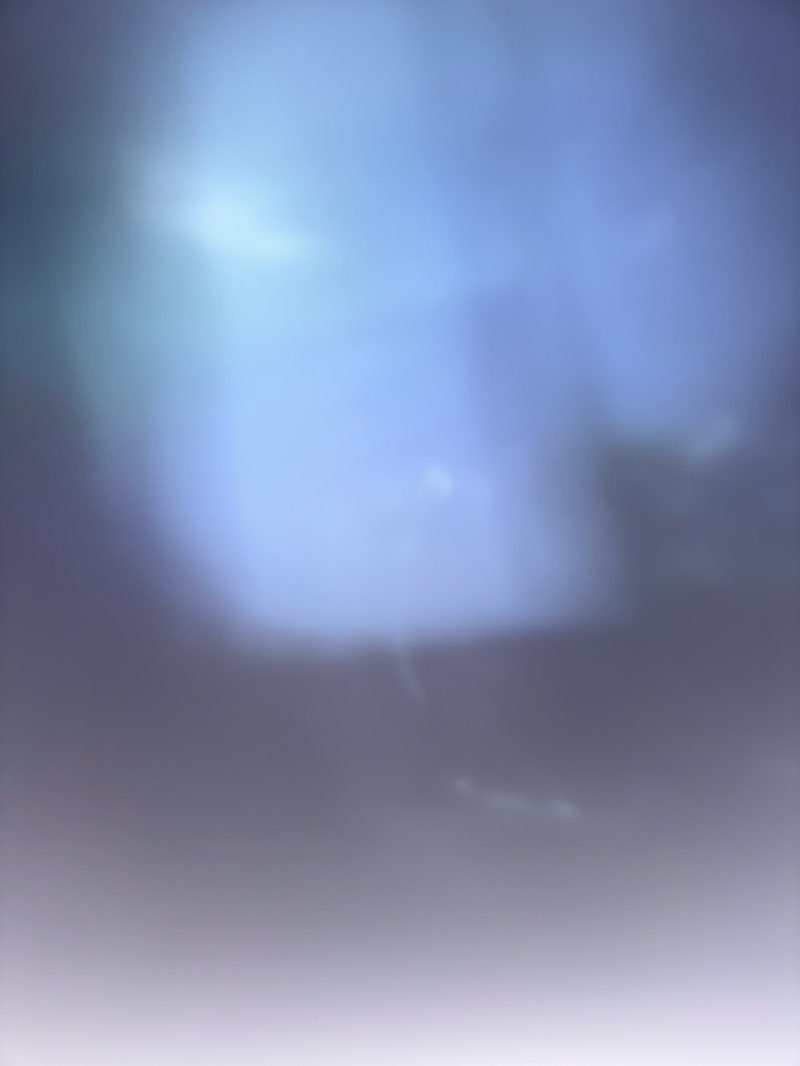 walking near me in Сквер Волконских in autumn