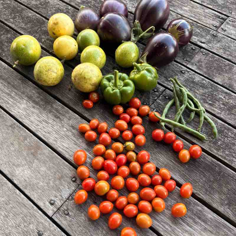 🇦🇺Sandra 💞❤️‍🔥💋 post 3