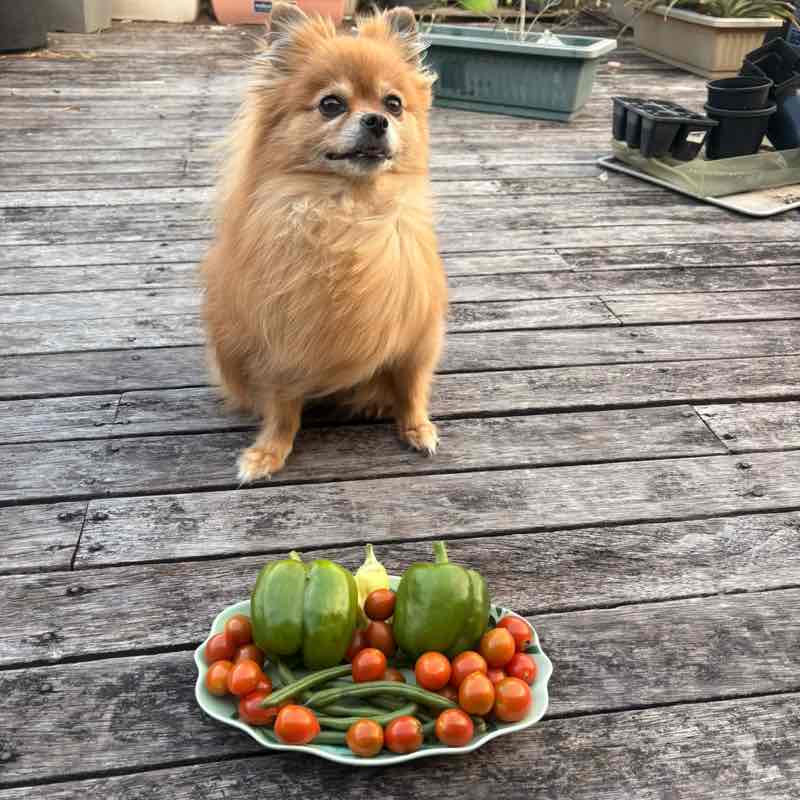 🇦🇺Sandra 💞❤️‍🔥💋 post 1