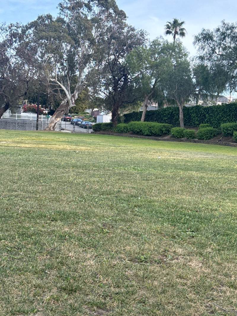 walking near me in Fulton Playfield in spring