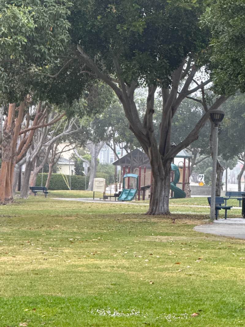 walking near me in Lilienthal Park in spring