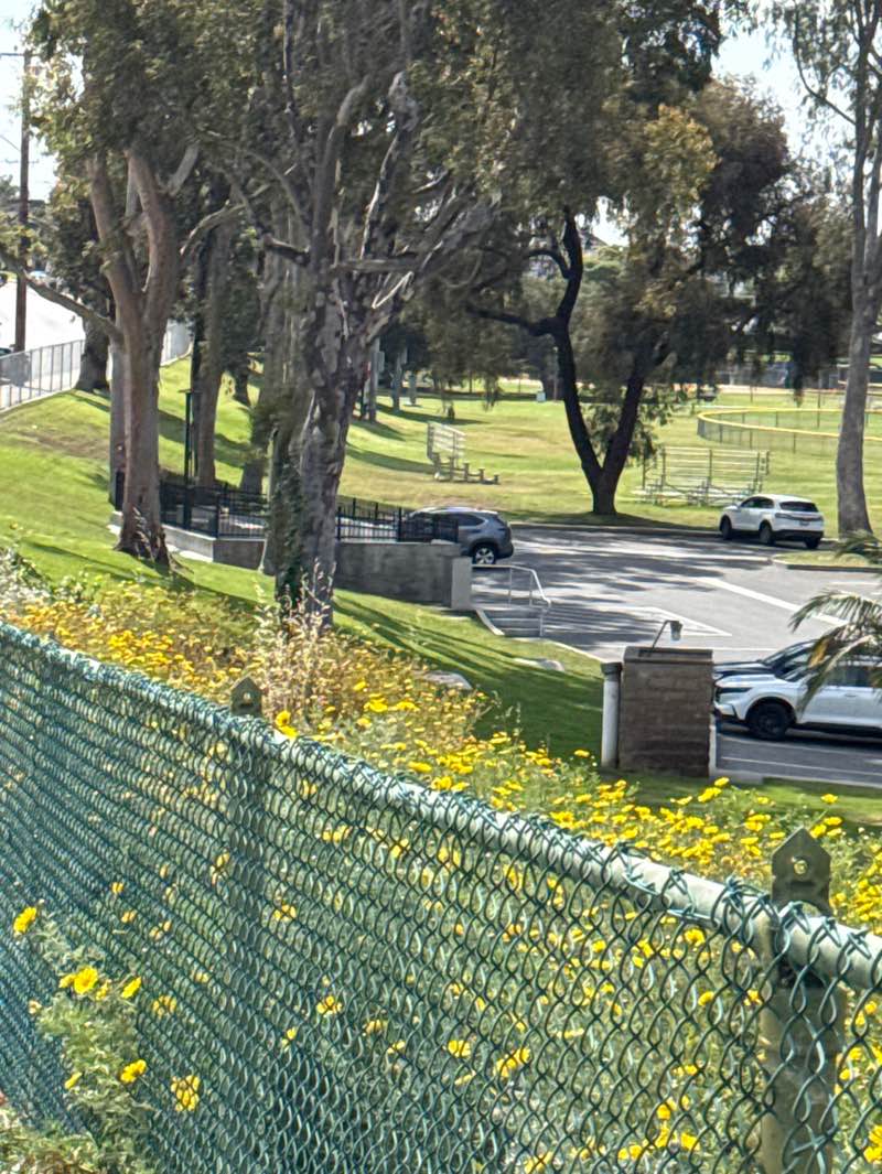 walking near me in Alta Vista Park in spring