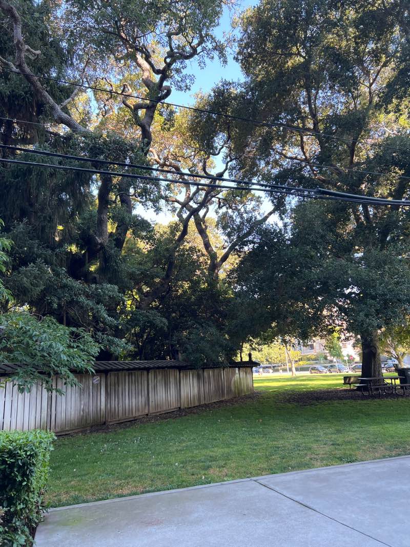 walking near me in San Mateo Central Park in autumn