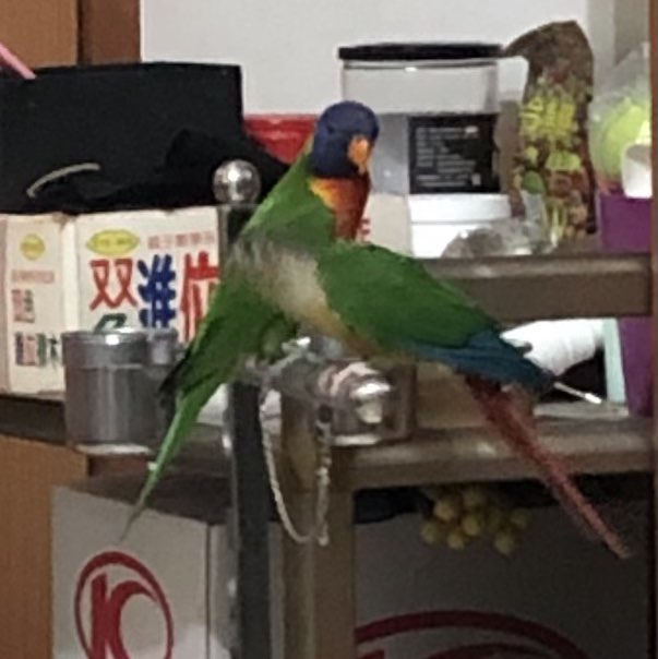 鴻爺🇹🇼 post 1