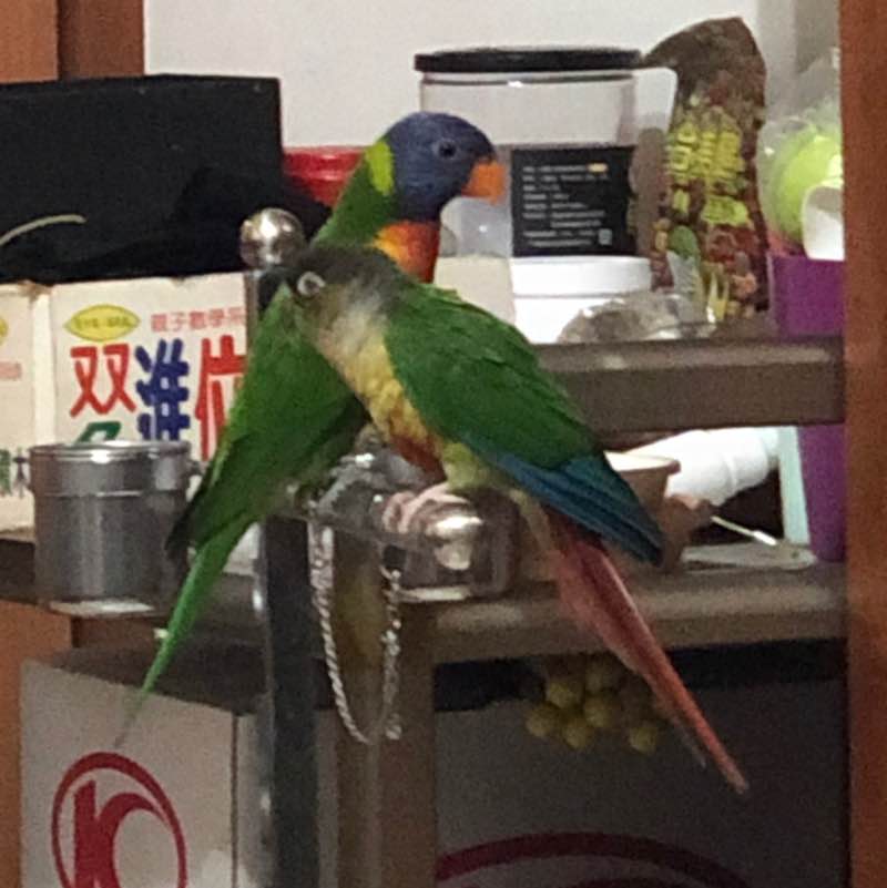 鴻爺🇹🇼 post 2