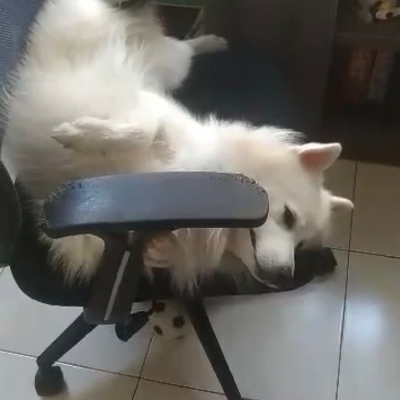 鴻爺🇹🇼 post 1