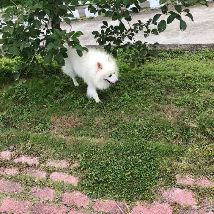 鴻爺🇹🇼 post 2