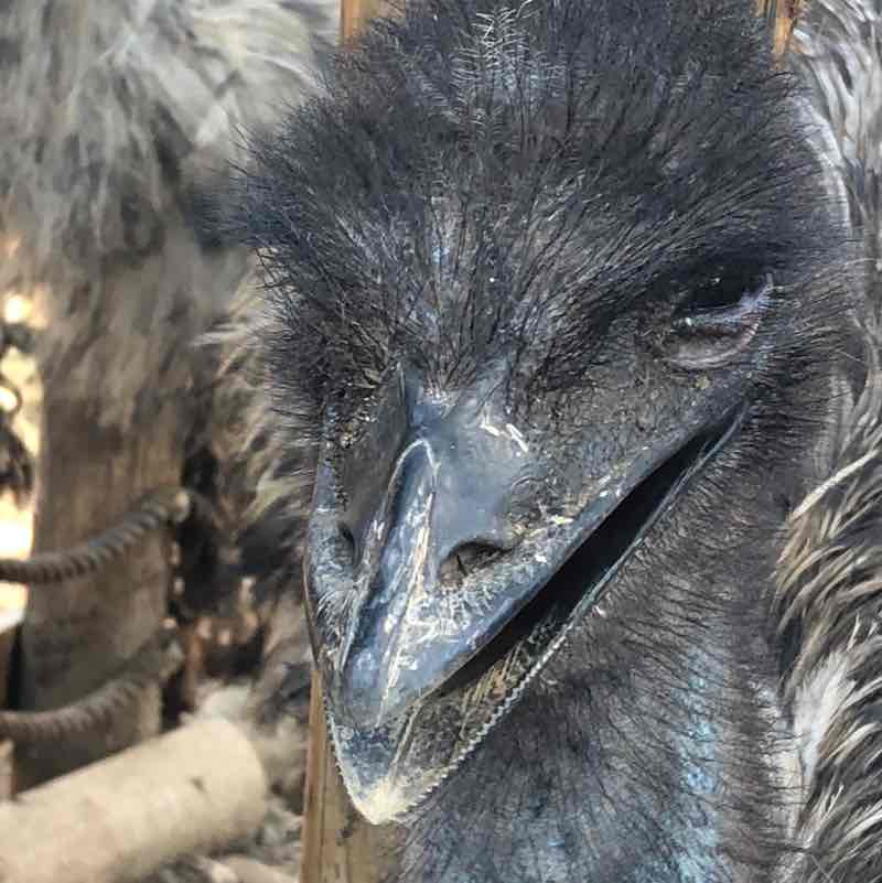 鴻爺🇹🇼 post 3