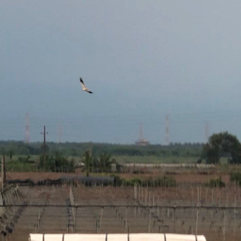 鴻爺🇹🇼 post 3