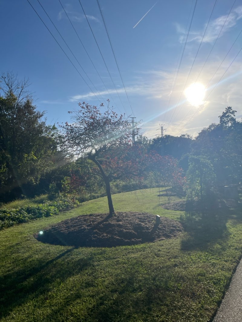 walking near me in Greensboro Arboretum in autumn