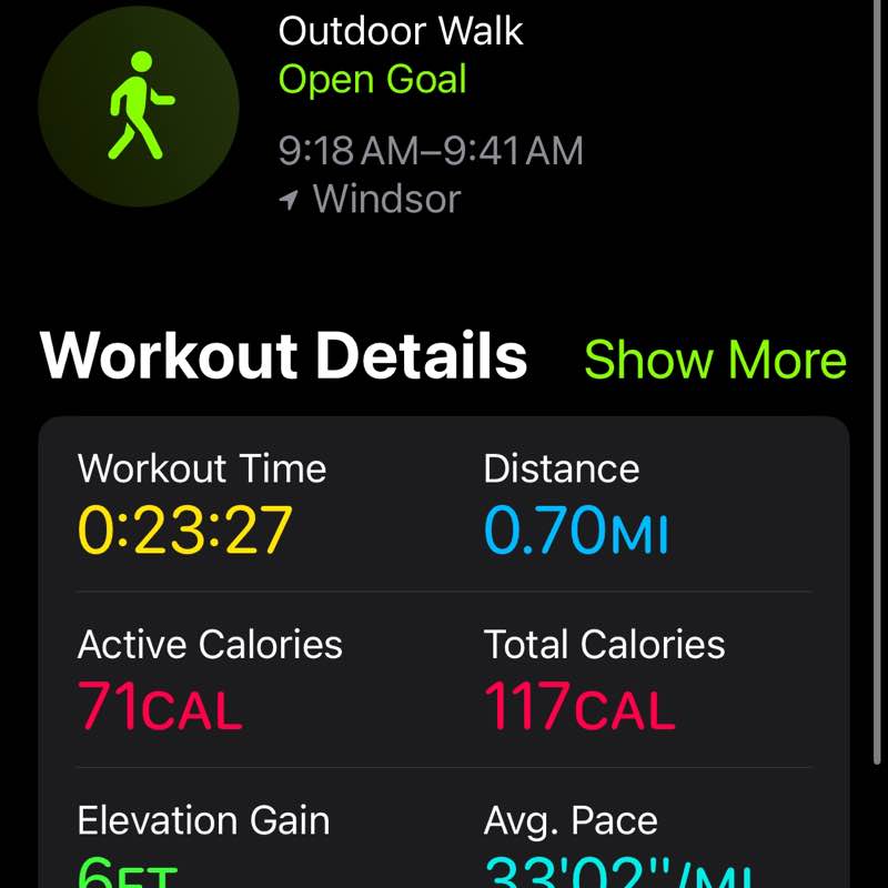 WINDSOR ONTARIO WALKERS  Katie post image