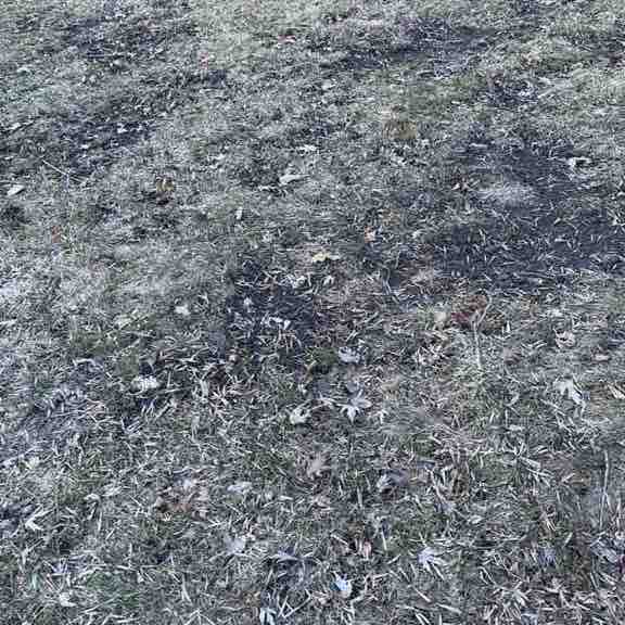 ПесерПал🏔️🇺🇸 post 1