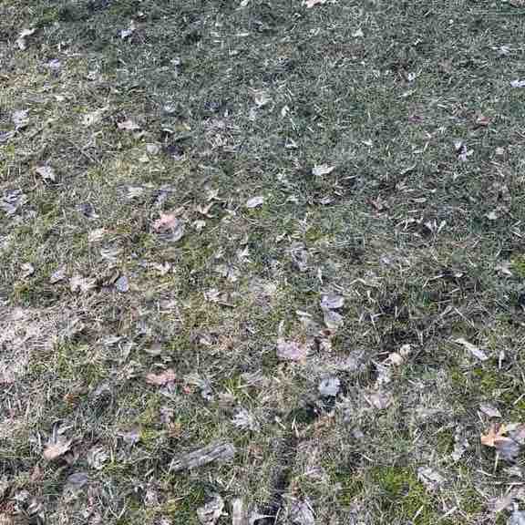 ПесерПал🏔️🇺🇸 post 1