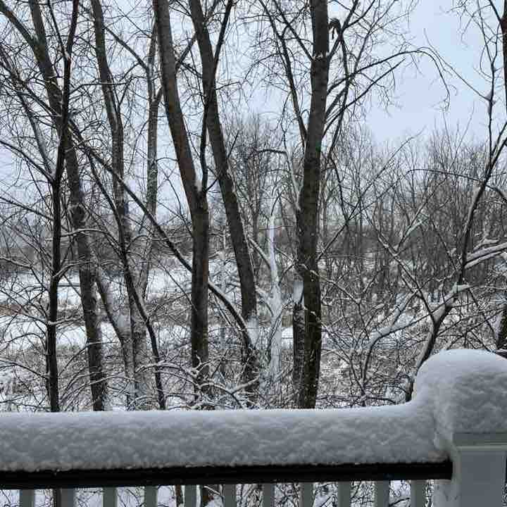 ПесерПал🏔️🇺🇸 post 2