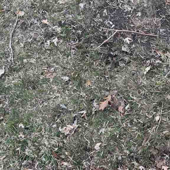 ПесерПал🏔️🇺🇸 post 1