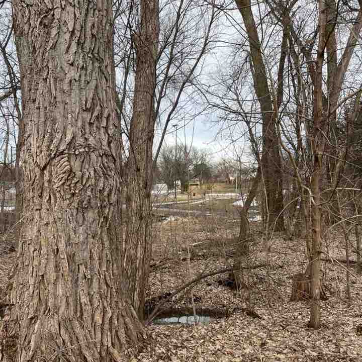 ПесерПал🏔️🇺🇸 post 1