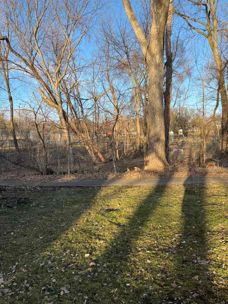 walking near me in Medley Park in spring
