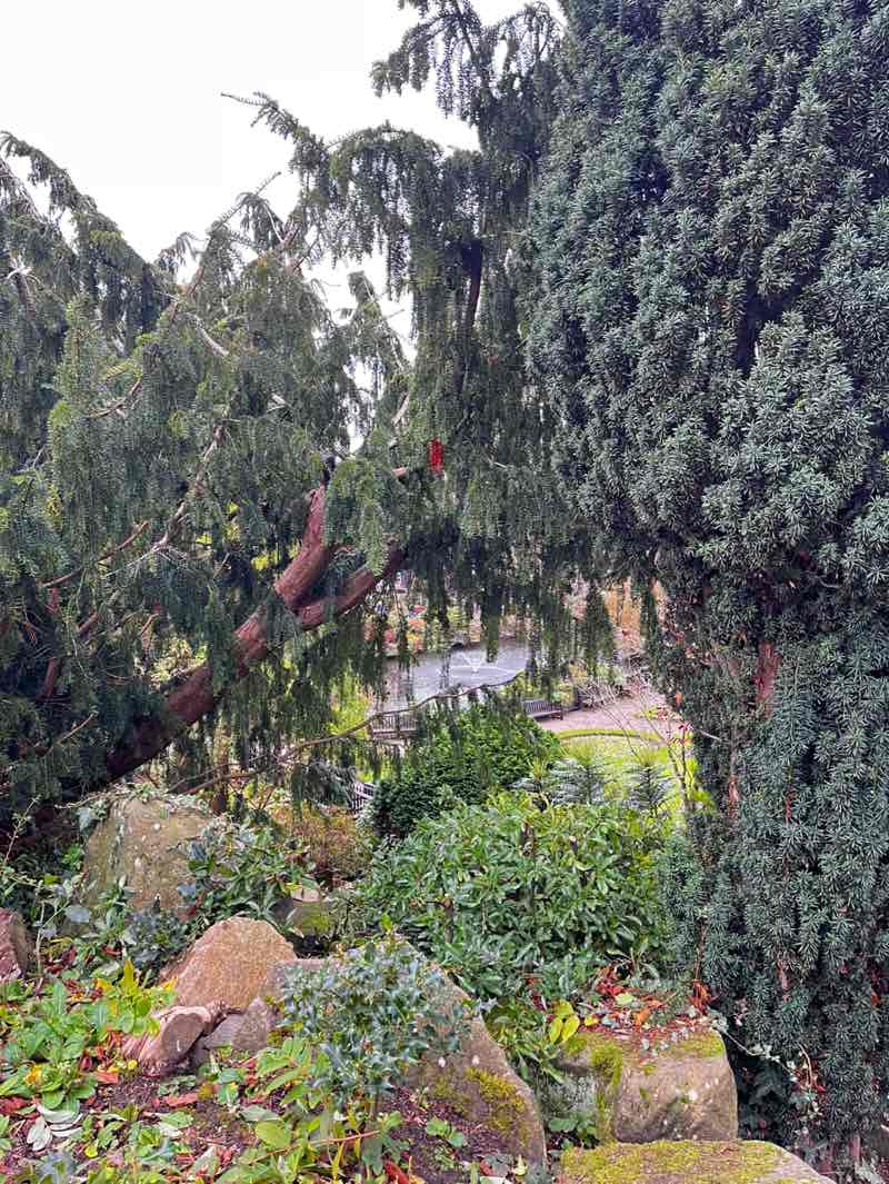 walking near me in The Quarry in winter