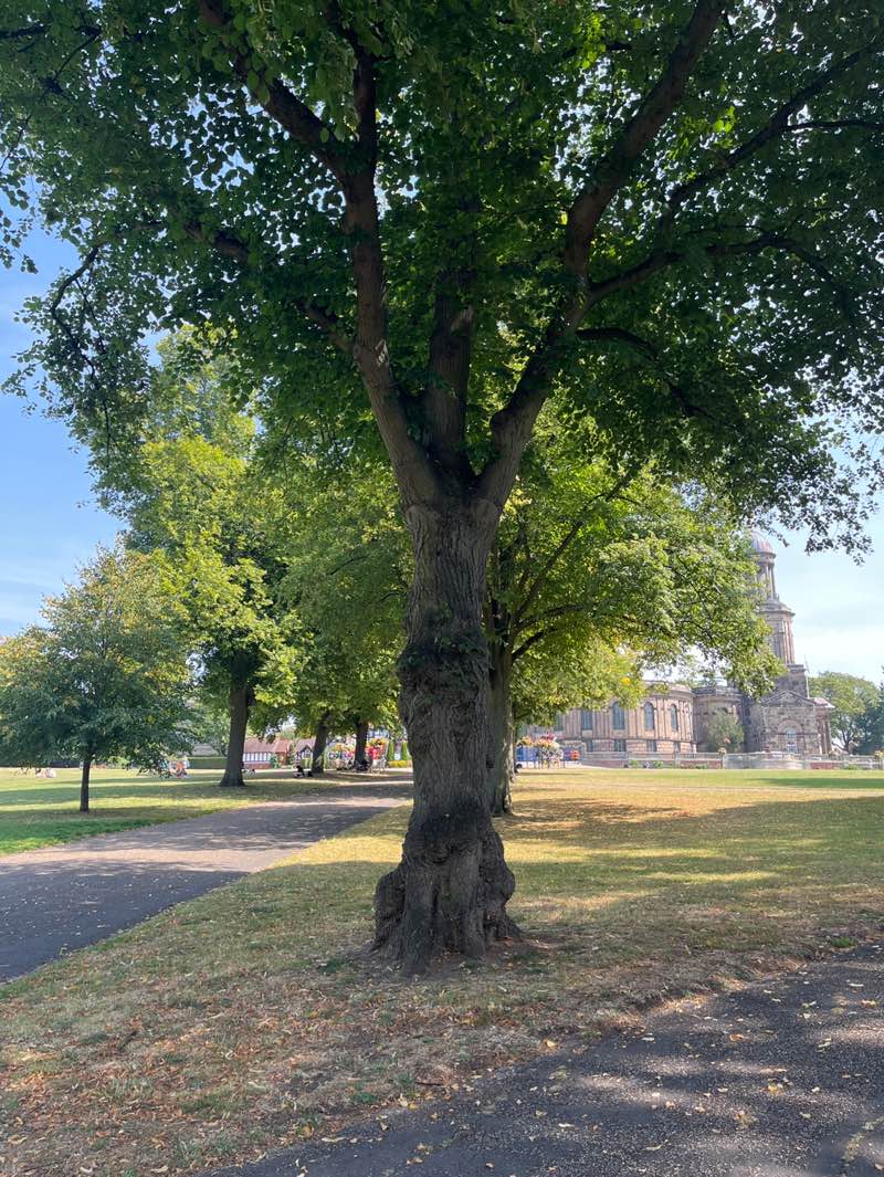 walking near me in The Quarry in autumn