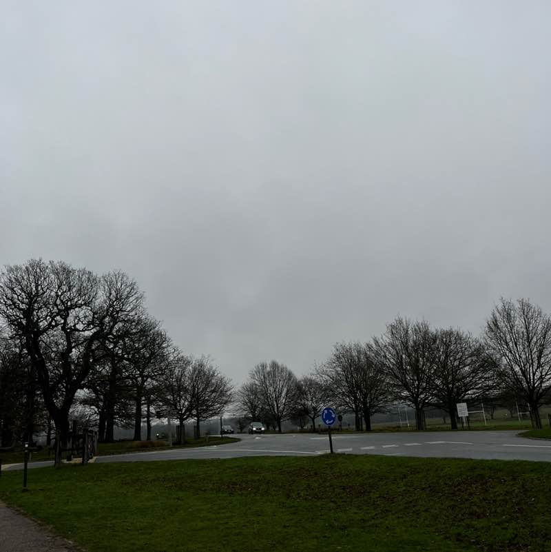 mrsireneharrison post 1