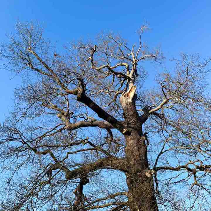 mrsireneharrison post 1